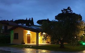 L'Antico Vigneto