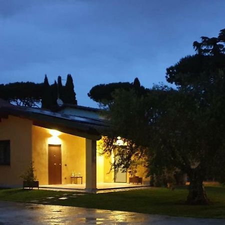 Hotel L'Antico Vigneto Marino Zewnętrze zdjęcie