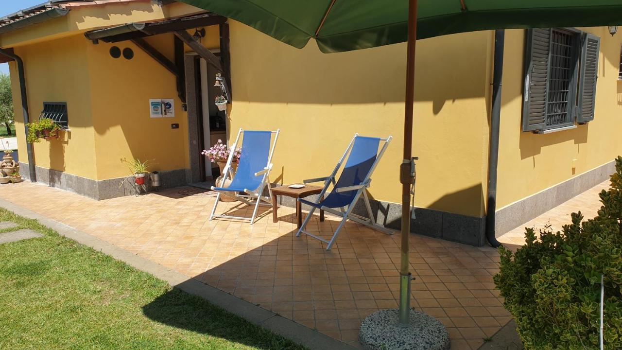 Hotel L'Antico Vigneto Marino Zewnętrze zdjęcie