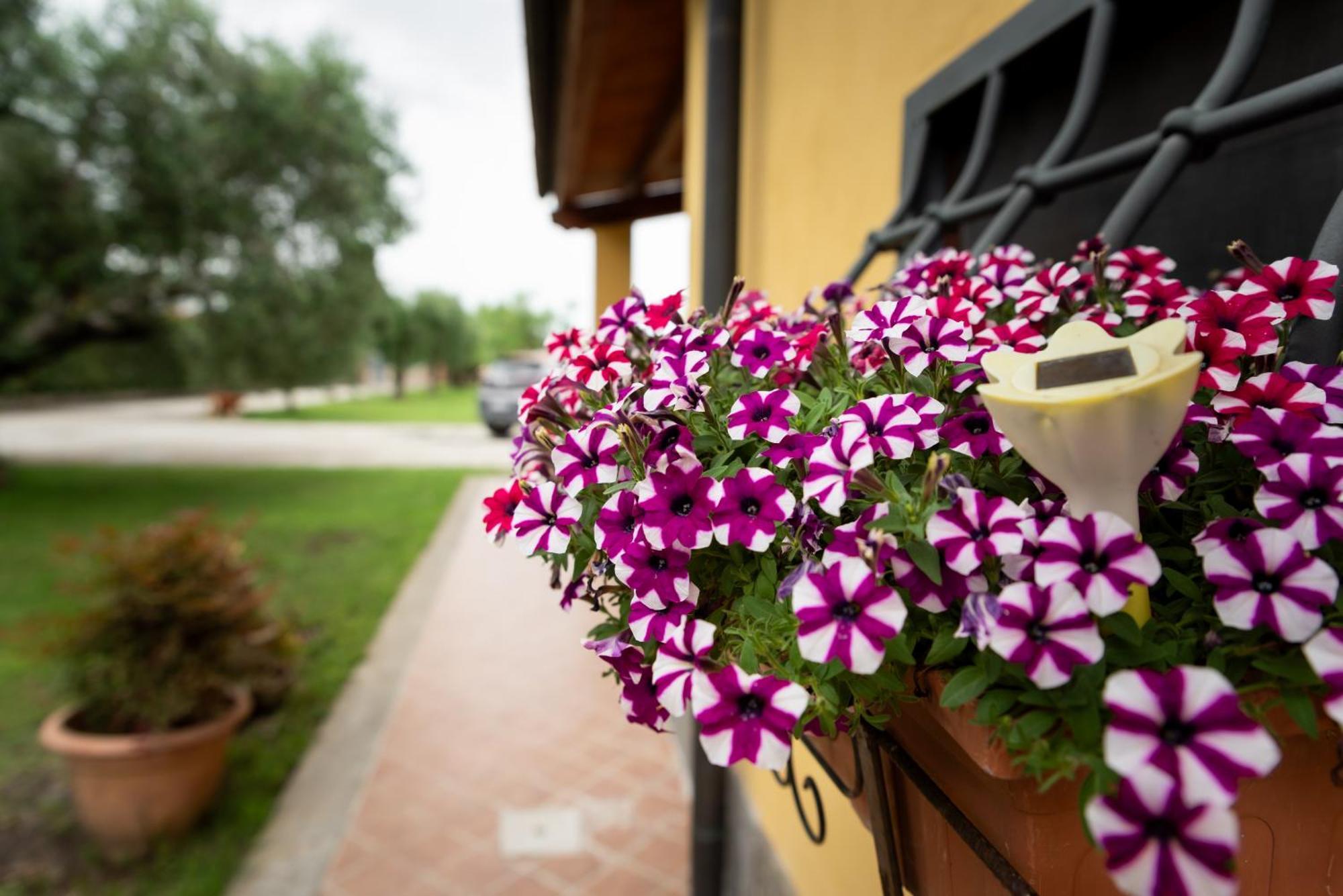 Hotel L'Antico Vigneto Marino Zewnętrze zdjęcie