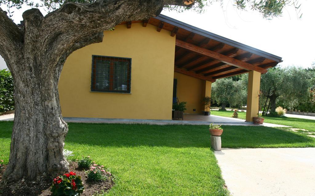 Hotel L'Antico Vigneto Marino Zewnętrze zdjęcie