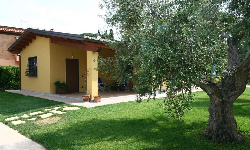 Hotel L'Antico Vigneto Marino Zewnętrze zdjęcie