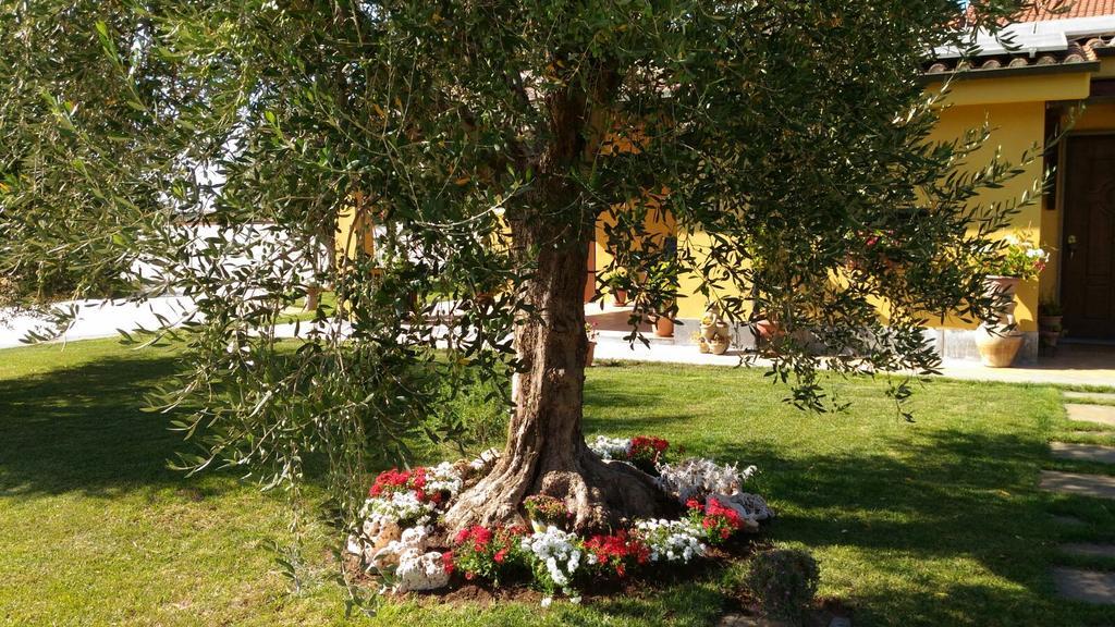 Hotel L'Antico Vigneto Marino Zewnętrze zdjęcie