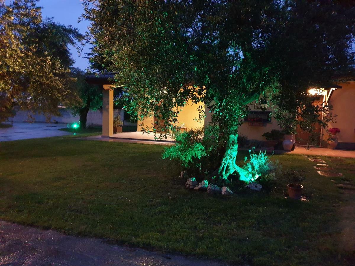 Hotel L'Antico Vigneto Marino Zewnętrze zdjęcie